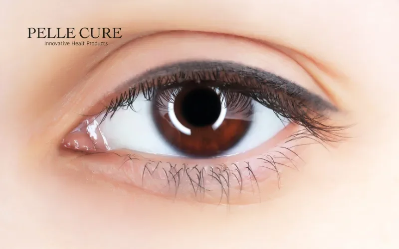 Most Popular Makeup Trends of 2025 (4) Most Popular Makeup Trends of 2025